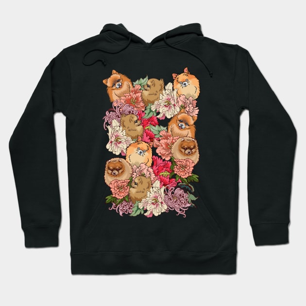 Because Pomeranians Hoodie by huebucket